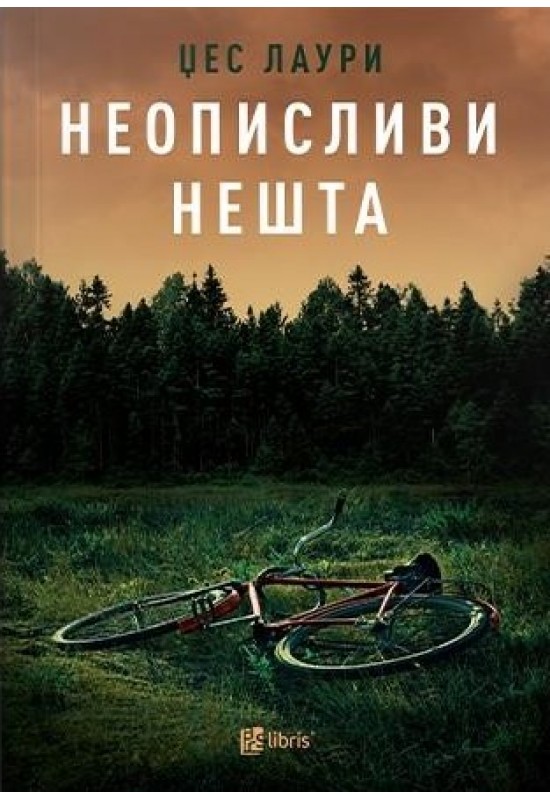 Неописливи нешта