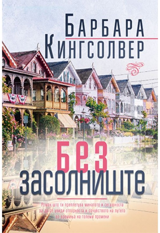 Без засолниште