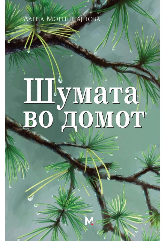 Шумата во домот
